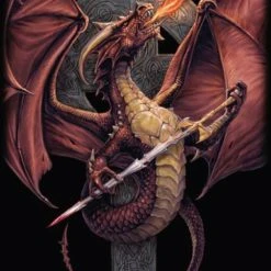 Max Protection 9 Pocket Portfolio Celtic Dragon