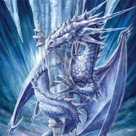 Max Protection 9 Pocket Portfolio Arctic Dragon 1 Max Protection 9 Pocket Portfolio Arctic Dragon