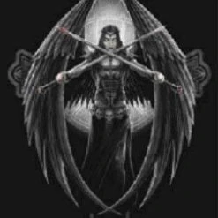 Max Protection Dark Angel Protectors