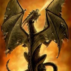 Max Protection Fire Breather Dragon Protectors - Japan