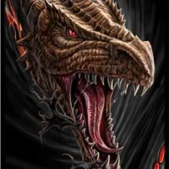 Max Protection 9 Pocket Portfolio Dare To Tear Dragon