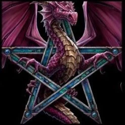 Max Protection 9 Pocket Portfolio Penta Dragon