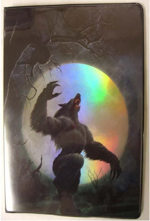 Max Protection 9 Pocket Portfolio Full Moon 1 Max Protection 9 Pocket Portfolio Full Moon