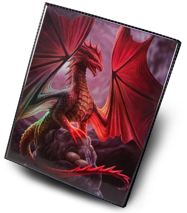 Max Protection 4 Pocket Portfolio Dragons Lair 1 Max Protection 4 Pocket Portfolio Dragons Lair