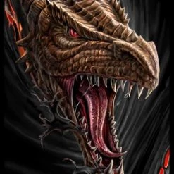 Max Protection Dare To Tear Dragon Protectors