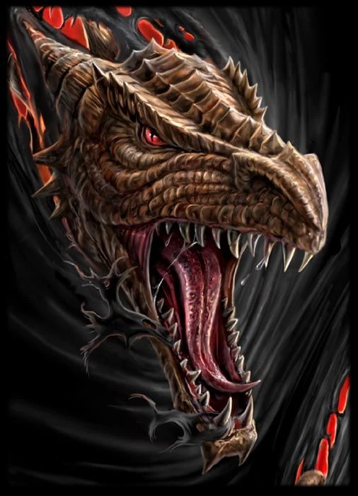 Max Protection Dare To Tear Dragon Protectors 1 Max Protection Dare To Tear Dragon Protectors