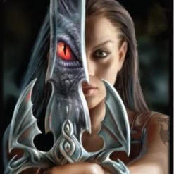 Max Protection Dragon Reflection Protectors Japan