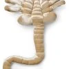 Diverse ALIEN Facehugger Plush