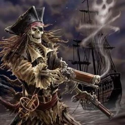 Max Protection Pirate Skeleton Protectors