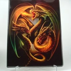 Max Protection 9 Pocket Portfolio Triple Head Dragon